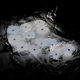Illustration for article titled Heres What Happens When You 3D Scan Mist, Ice, and Smoke